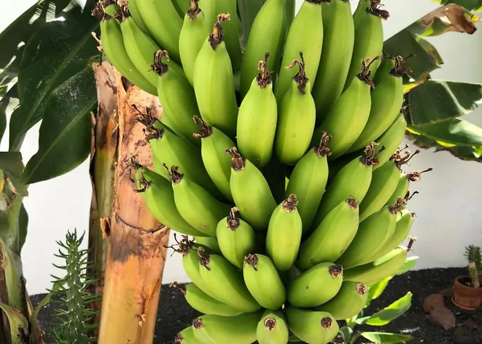 Villa Danko Playa Blanca